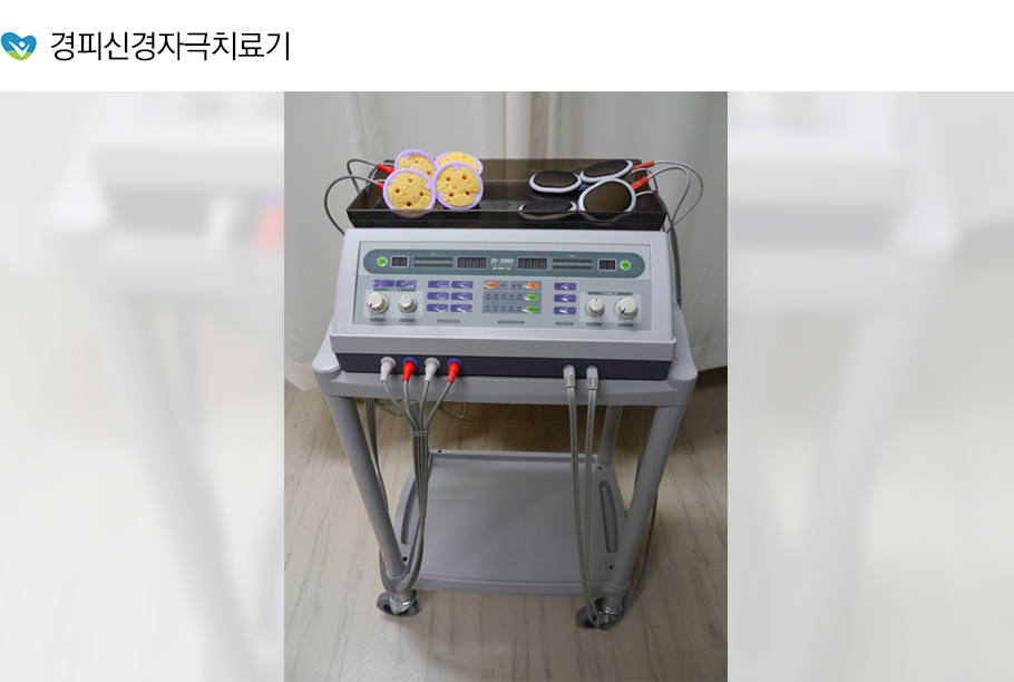 경피신경자극치료기