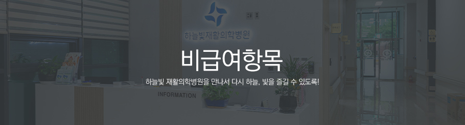 비급여안내